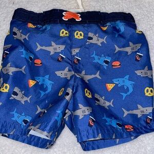 EUC cat&jack swim trunks size 18 months